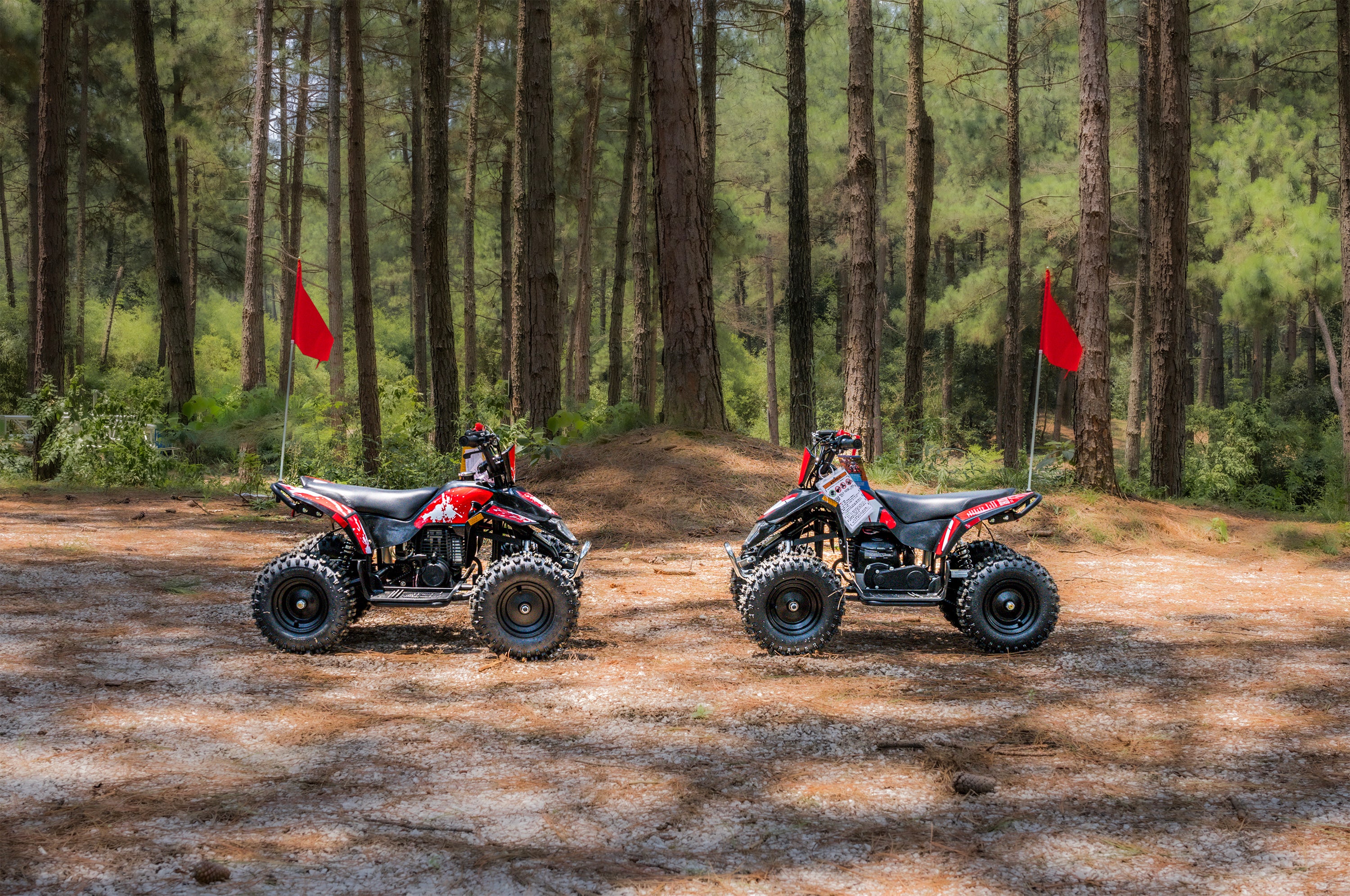 2 Sahara 40 ATVs are in the forest.