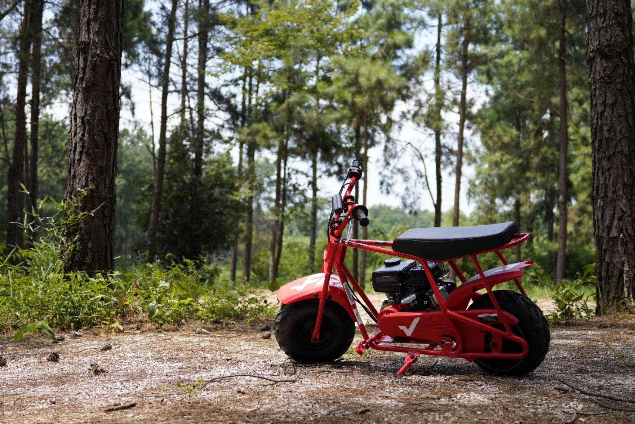 A GMB100 mini bike is in the forest.