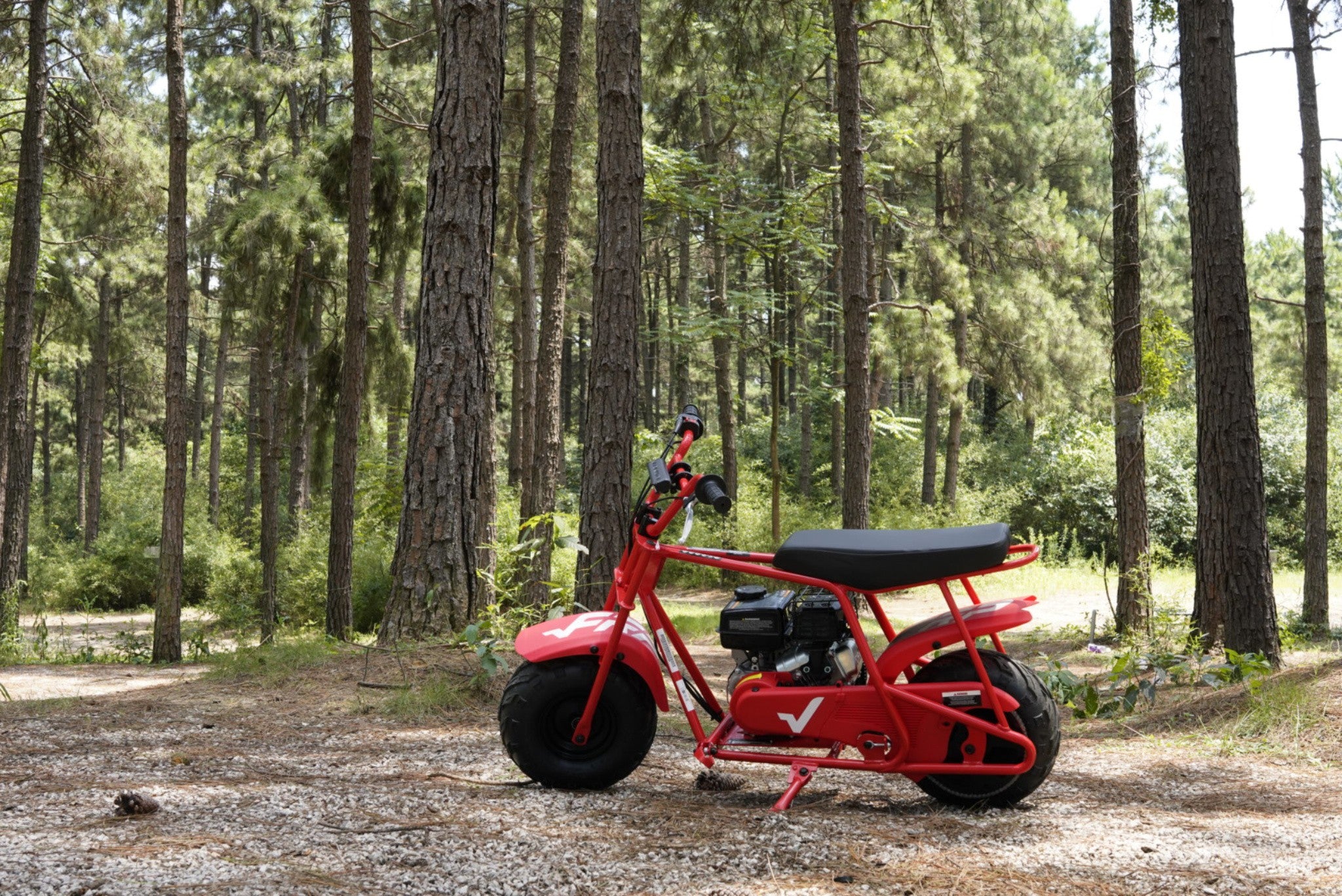 GMB100 gas mini bike is in the forest.