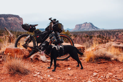 The Dos and Don'ts of Dirt Biking with Your Pet